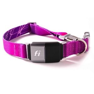Fi Series 2 GPS Dog Collar - Sz M